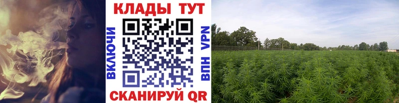 Магазины продажи наркотиков Отрадный Гашиш Канабис A PVP МЕФ Cocaine