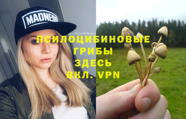 трава Баксан
