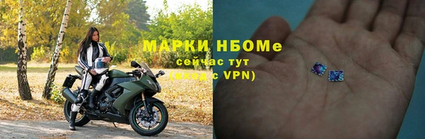 прущие грибы Белоозёрский