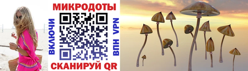 Галлюциногенные грибы MAGIC MUSHROOMS  Отрадный 